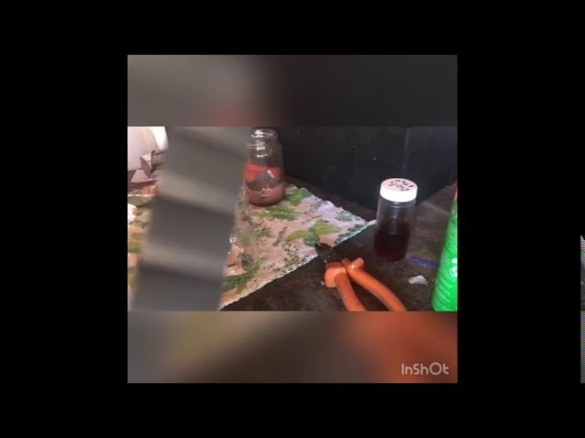 baterias de litio oxido de cobalto